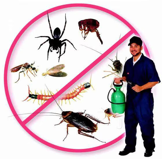 General Animal Control